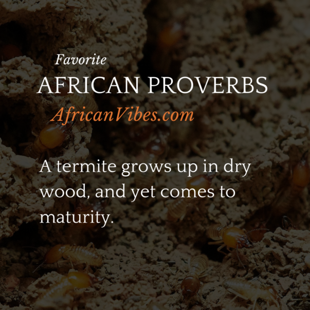 African Proverbs That Run Deep - African Vibes