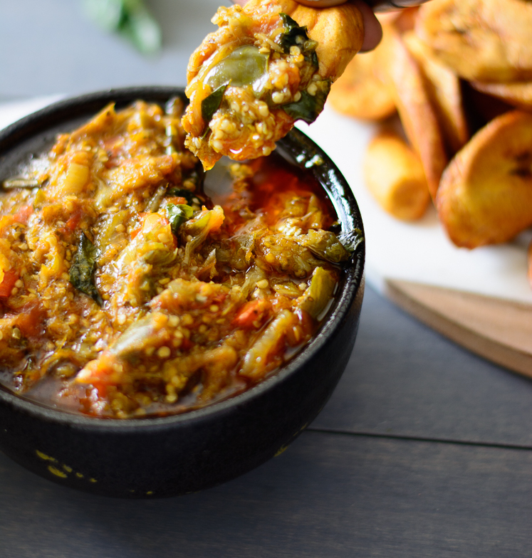 African Cuisine - Egg Plant Soup