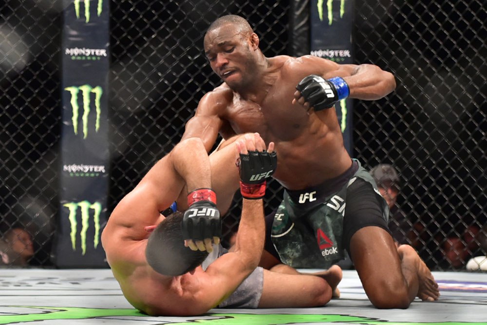 African mixed martial arts fighters in the Ultimate Fighting Championship  spotlight