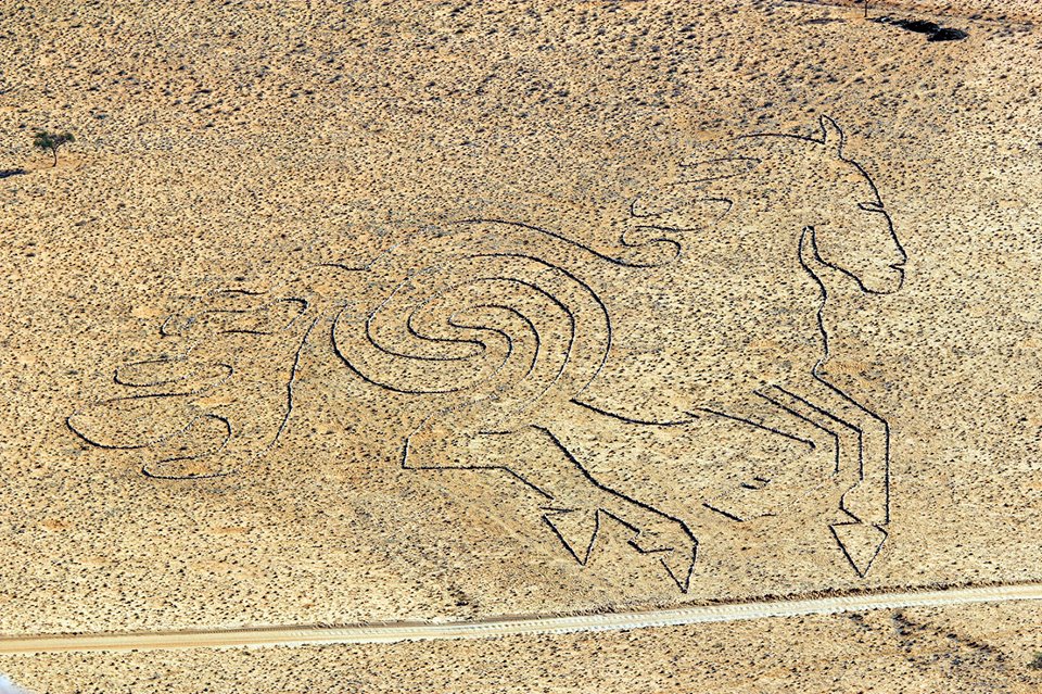 Namibia Desert horse geoglyph