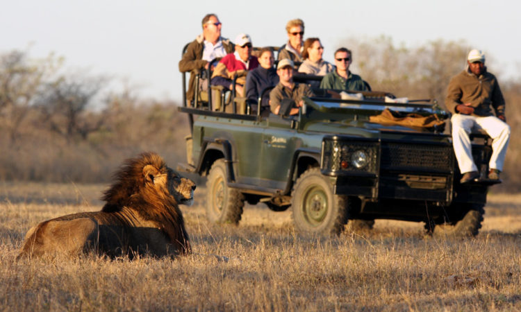 Tavel Business in Africa