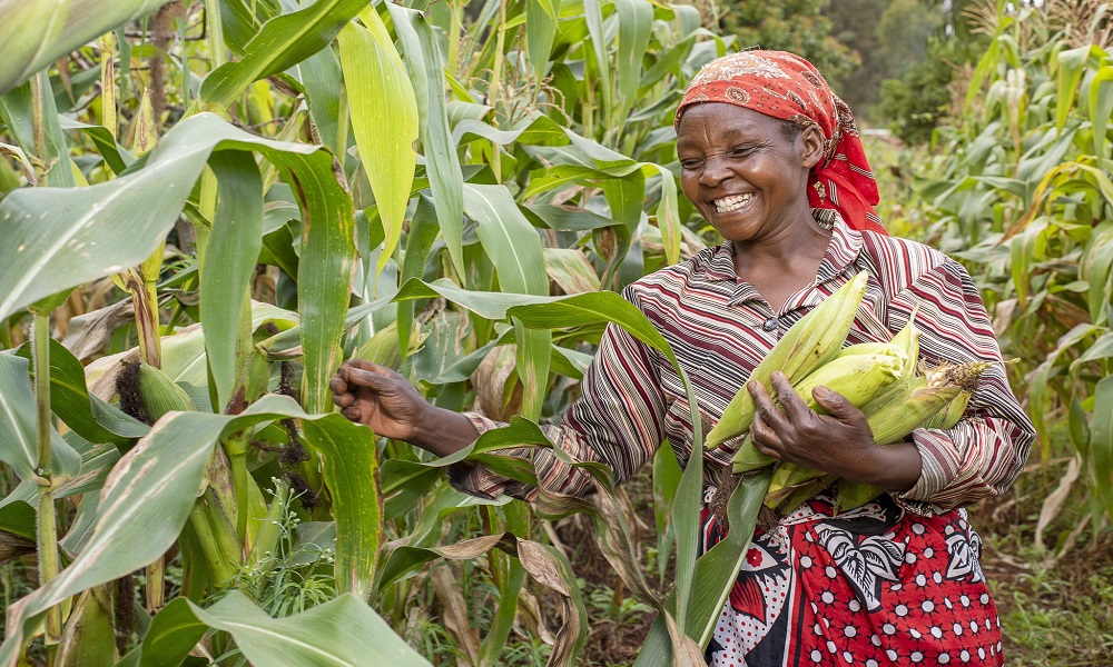 Doris, a maize farmer partnering with Apollo Agriculture