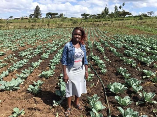Part of Justine Nakku's cabbage field