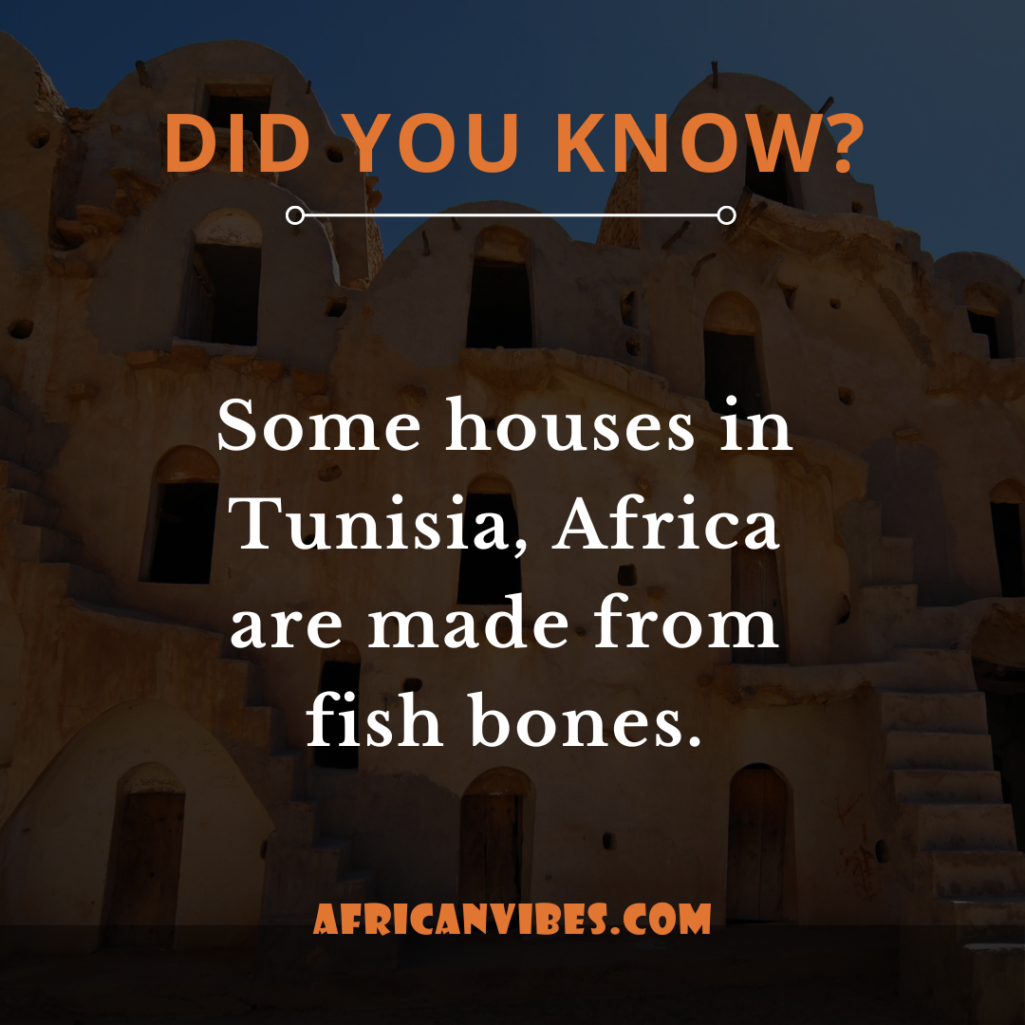 Some houses in Tunisia, Africa are made from fish bones.