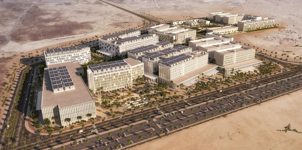 Egypt's CapitalMed Project