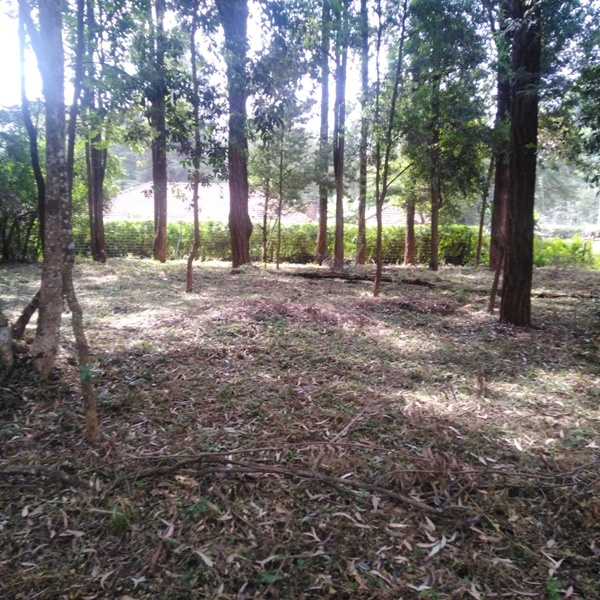 Stunning plot ready for development on Bogani Road, Karen