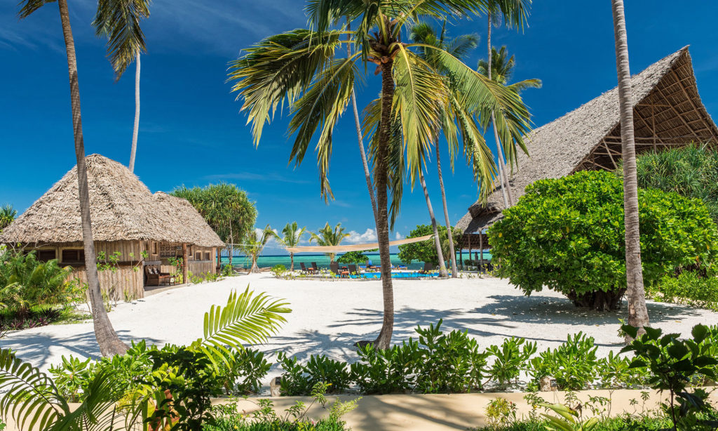 The Magic Zanzibar