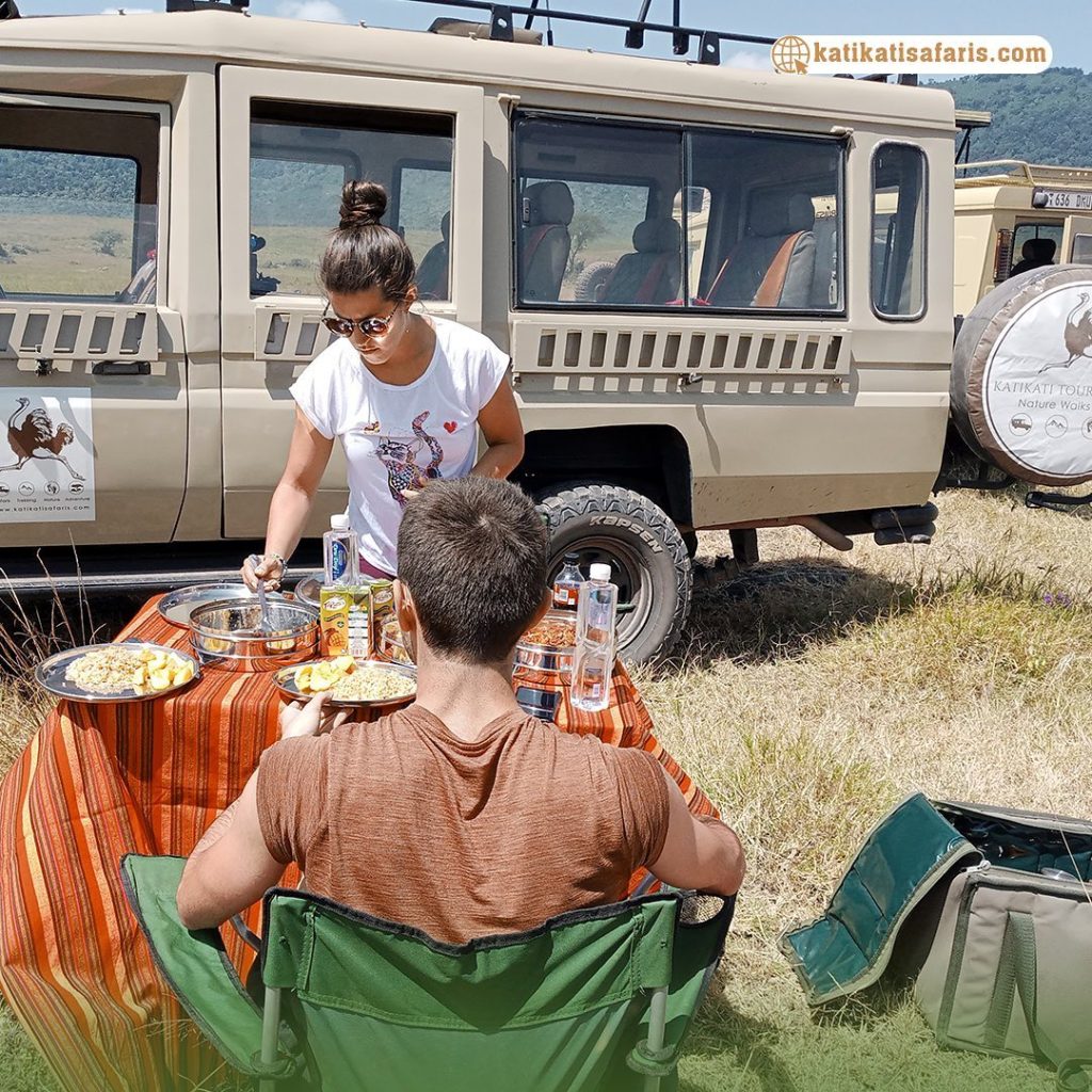 Katikati Safaris