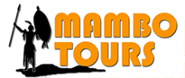 Mambo Tours