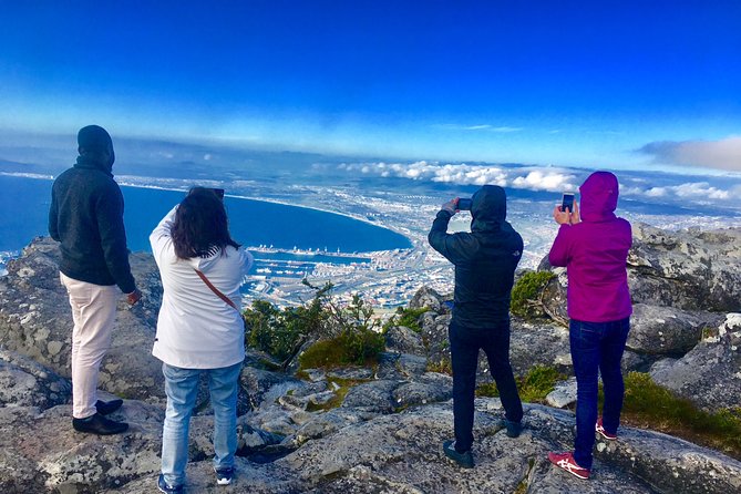 Private Tour: Table Mountain, Penguin Colony & Cape of Good Hope incl. Park Fees