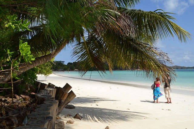 Seychelles Tourism and real Estate